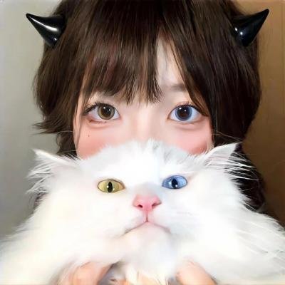 行骗高手