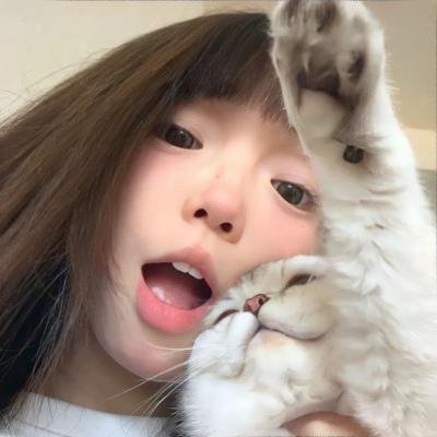 超完美社区